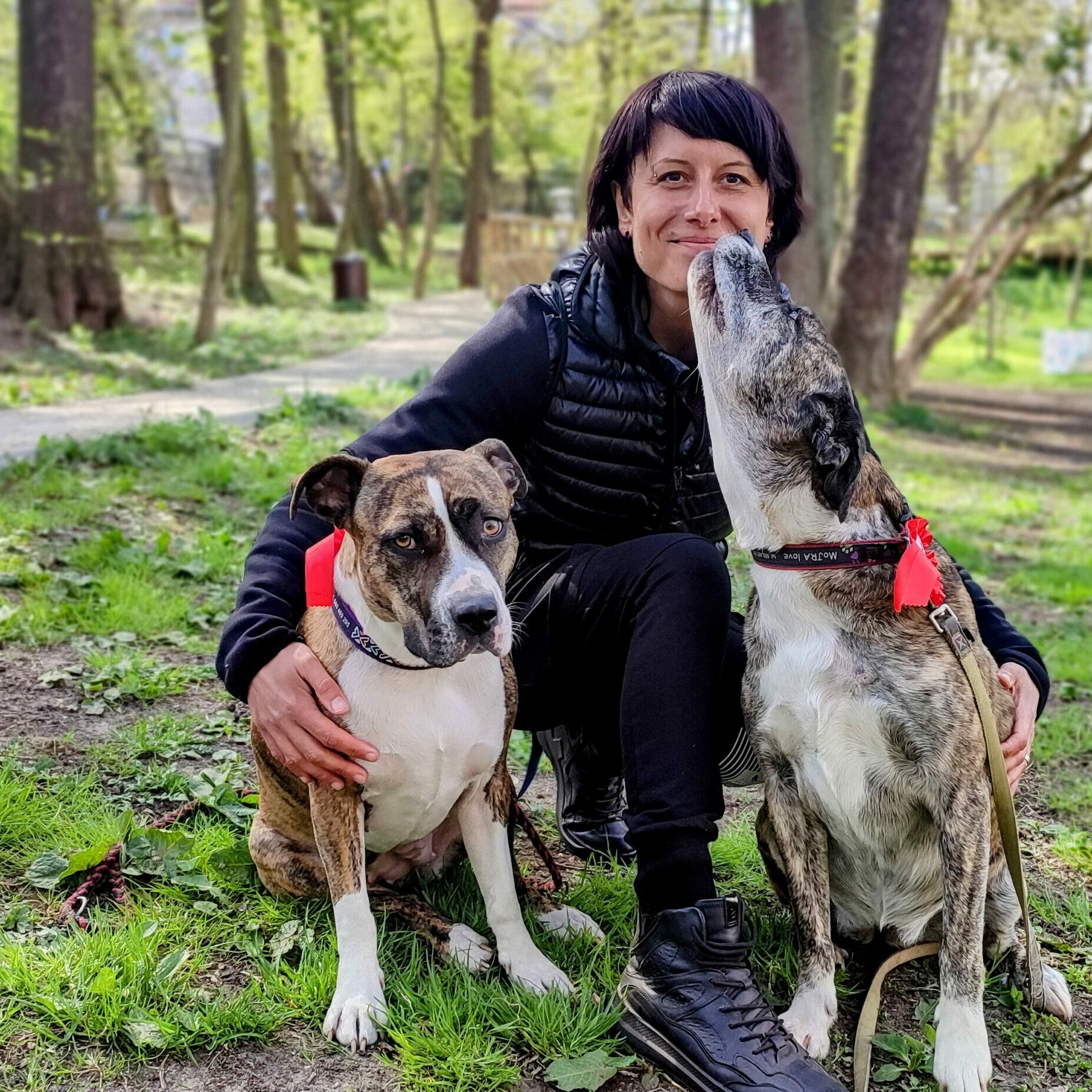 Karolina Han ze swoimi psami w lesie