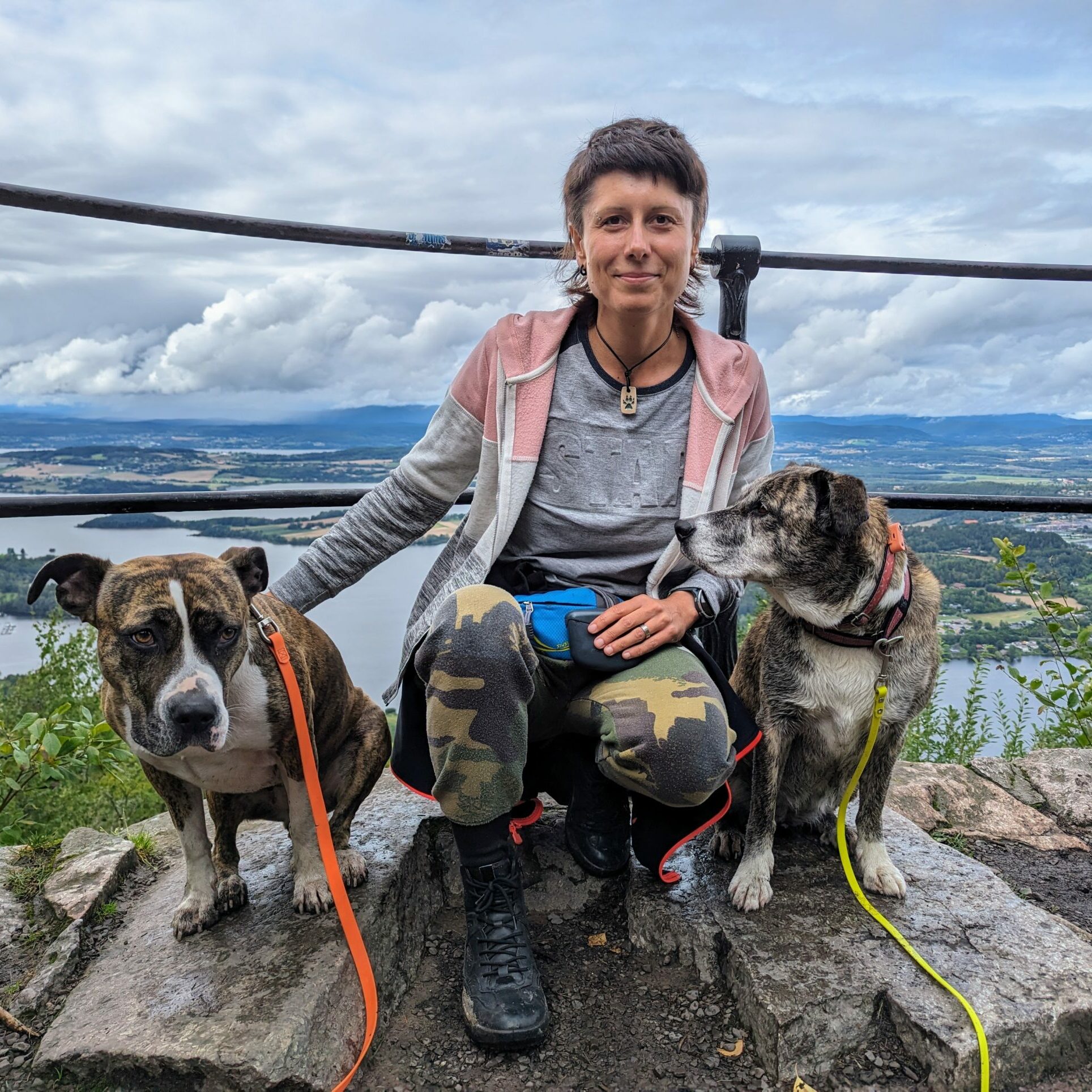 Psy i wspólne chwile w Krainie Petopii — zdjęcie 3
